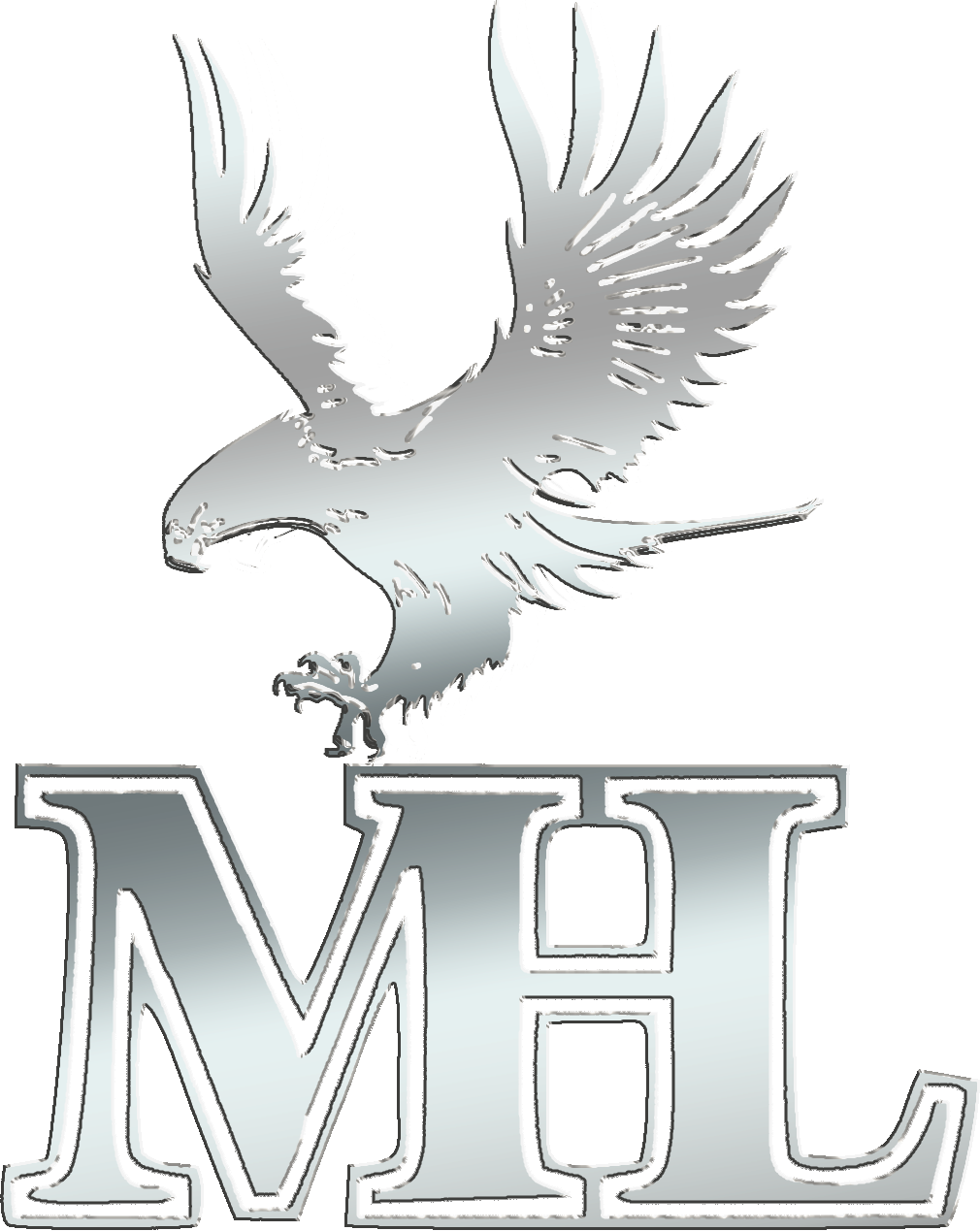 top-logo